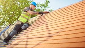 Best Metal Roofing Installation  in Webster, SD