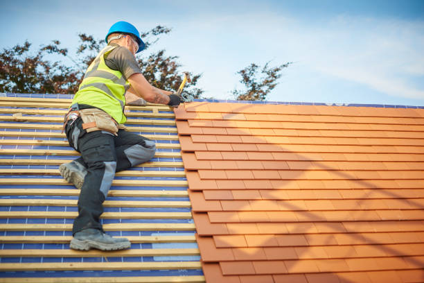 Best Emergency Roof Repair Services  in Webster, SD